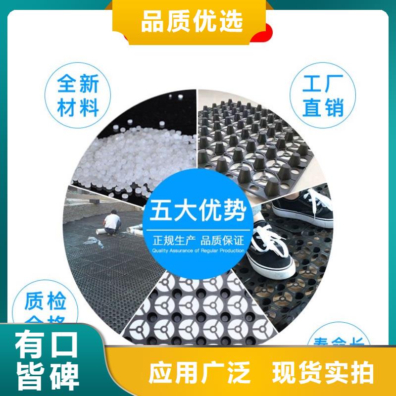 凹凸型塑料排水板哪里有卖的：芜湖本土