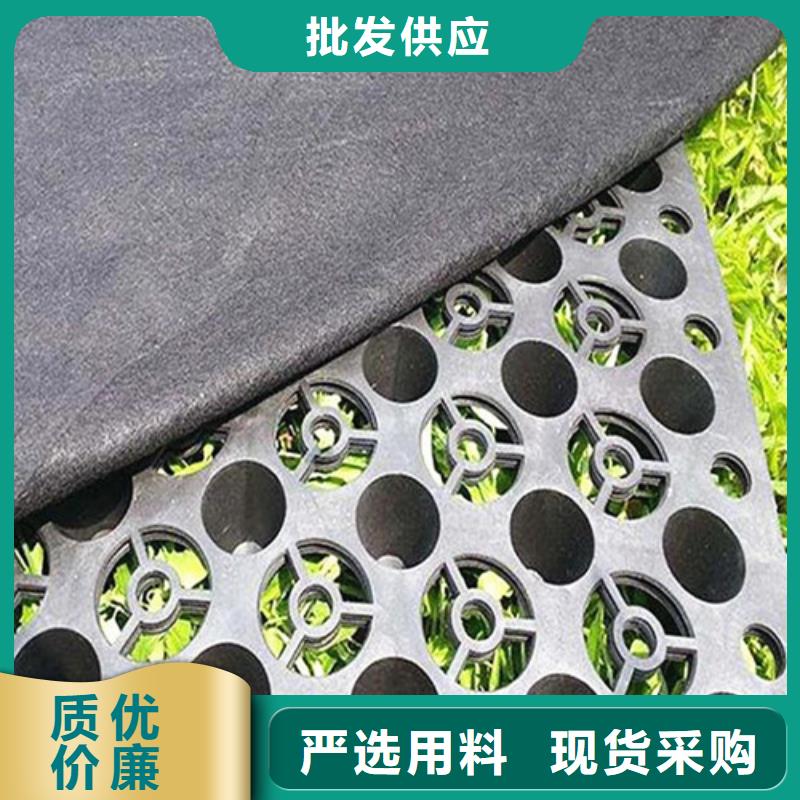 凹凸型蓄排水板多少钱：芜湖选购