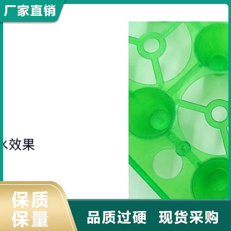 排水板现货长期供应