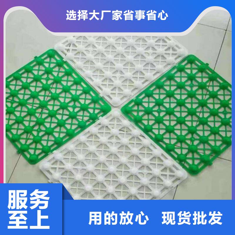 凹凸型塑料疏水板有生产厂家吗：郑州买
