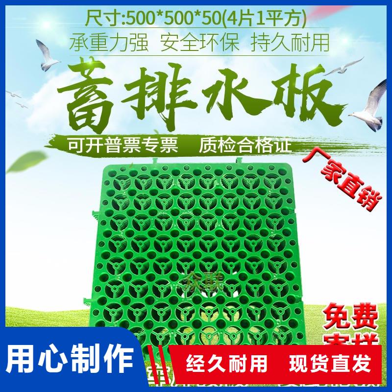 屋顶绿化塑料蓄排水板价格：【沧州】品质优选
