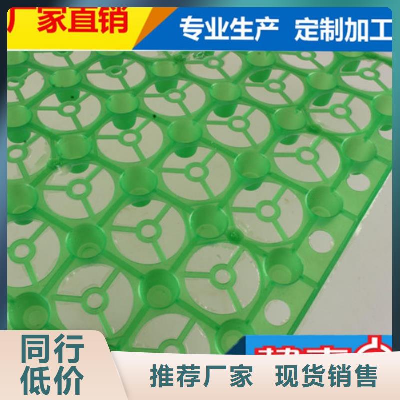 凹凸型塑料排水板价格：【太原】现货满足大量采购
