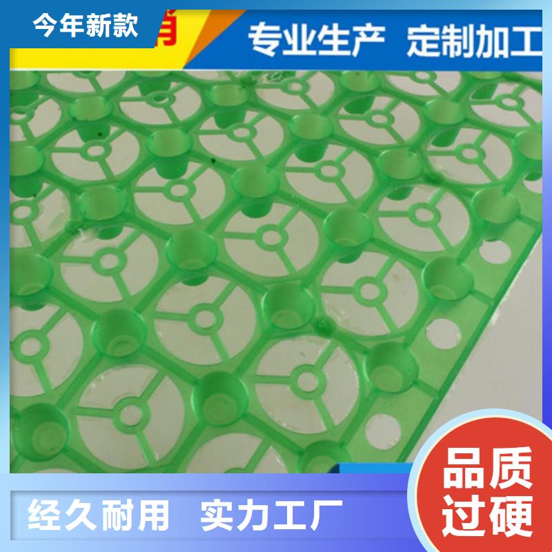 凹凸型塑料疏水板生产厂家：<江苏>精选优质材料