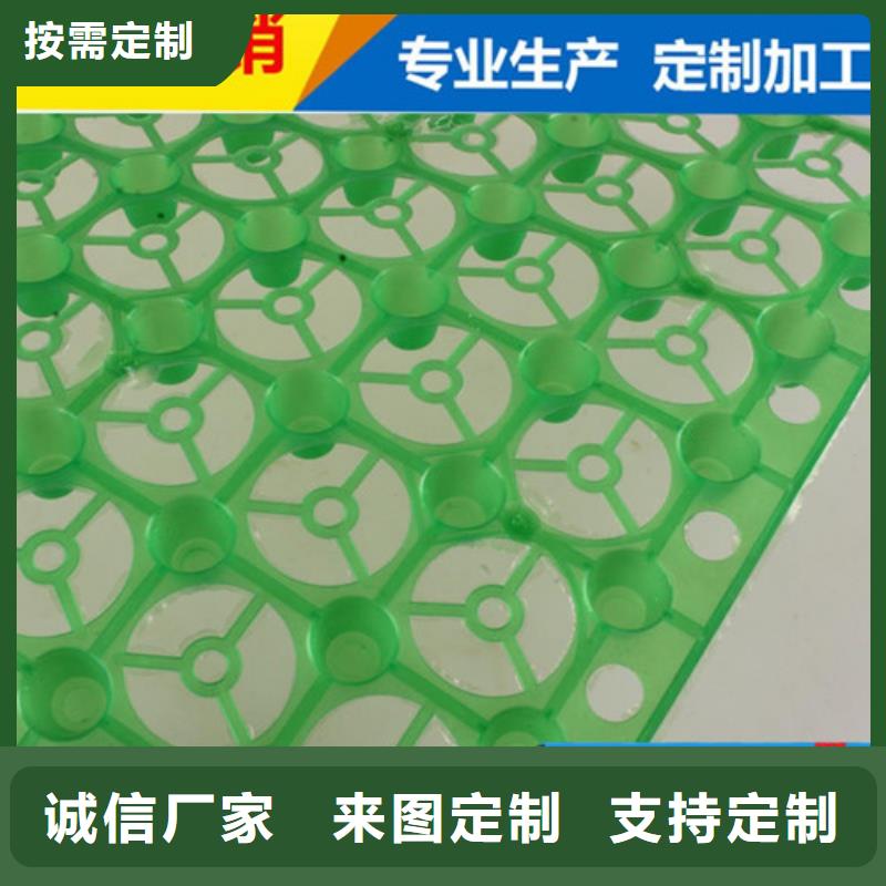 屋顶绿化塑料蓄排水板多少钱：(沧州)同城