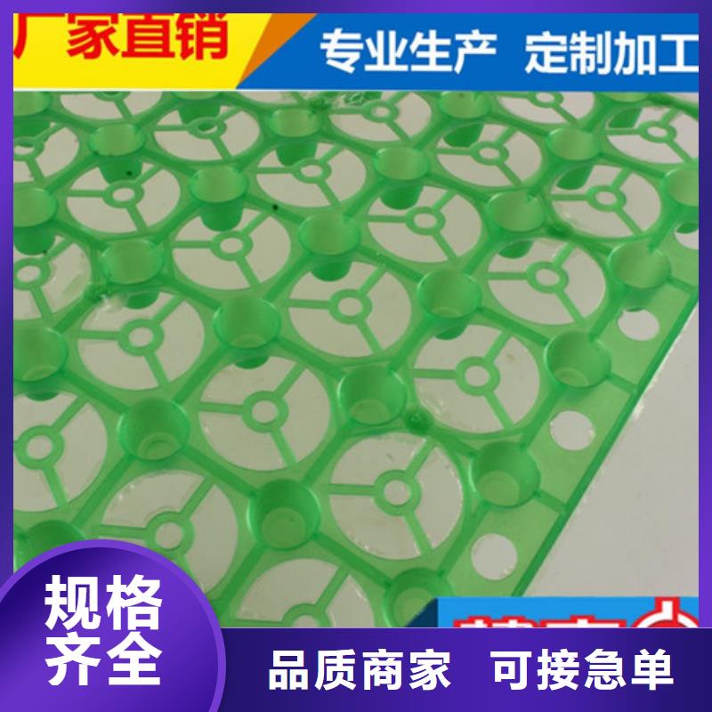 凹凸型塑料排水板有经销商店吗：永州专注质量