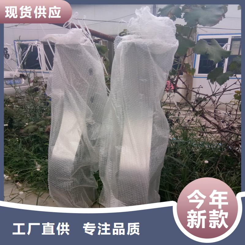 不锈钢复合管护栏价格公道用心做好每一件产品