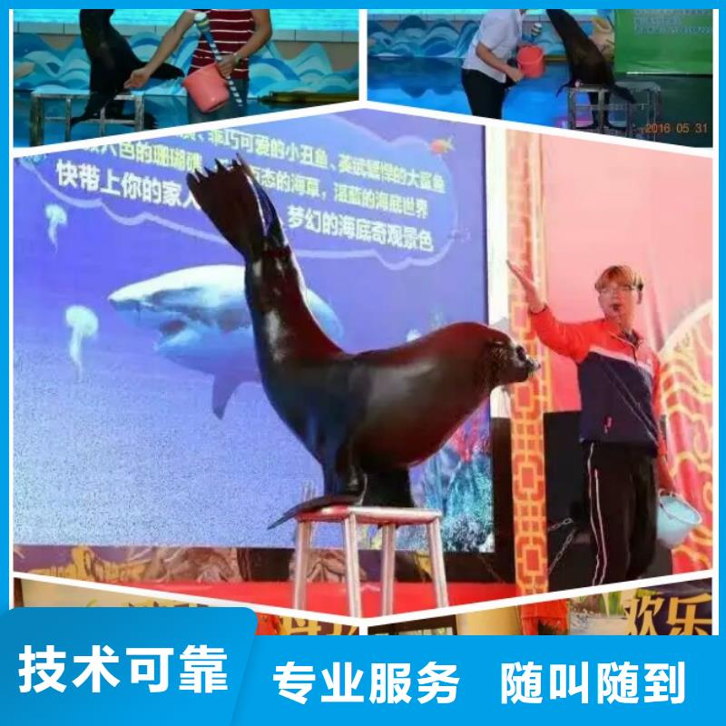 常年供應1-價格優惠