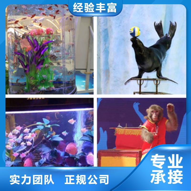 發貨及時的1生產廠家