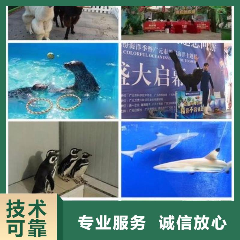 1-來電洽談
