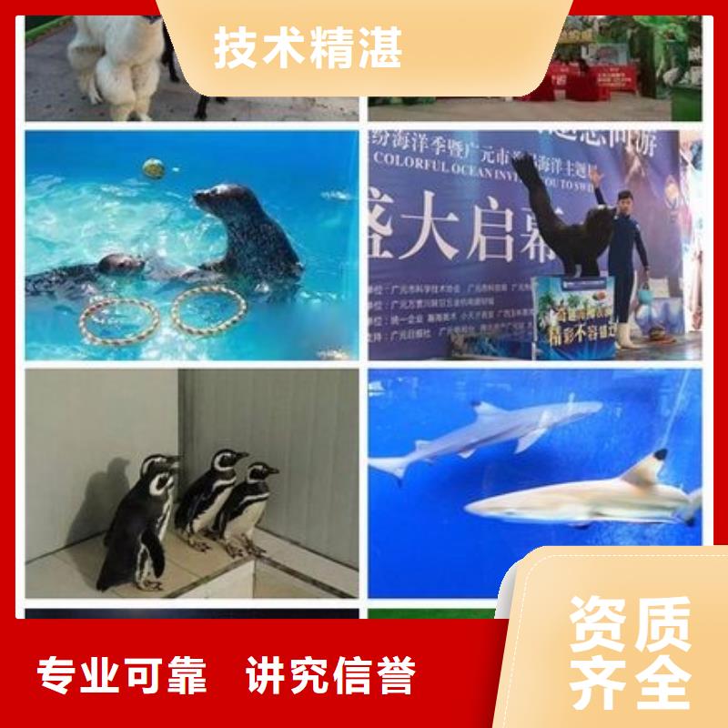 1、1價(jià)格