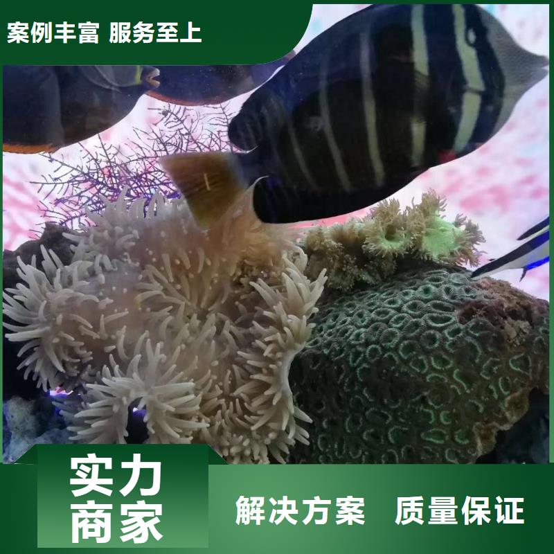 發貨及時的1生產廠家