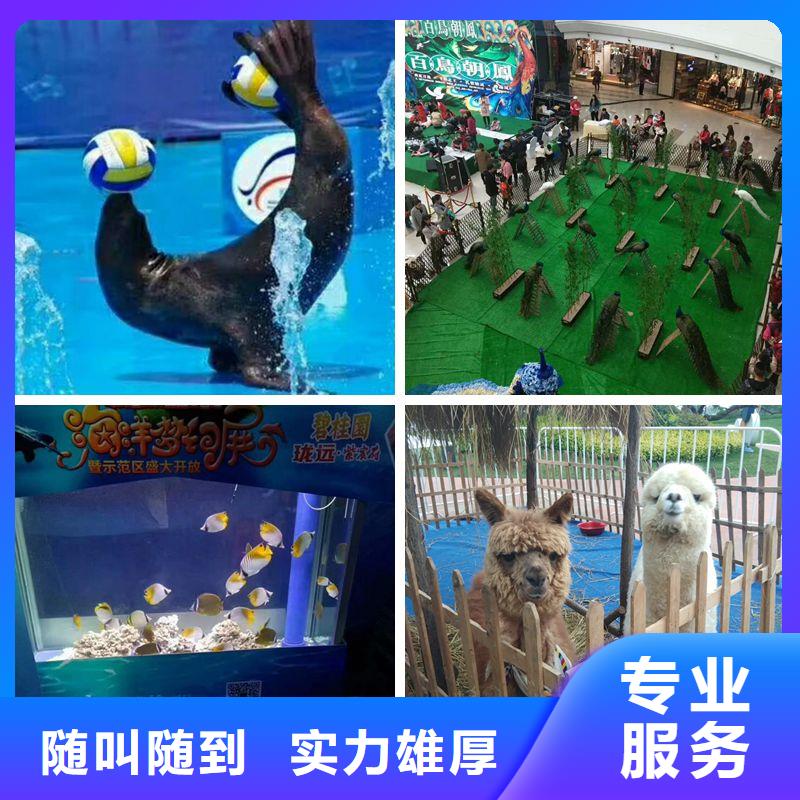 常年供應1-價格優惠