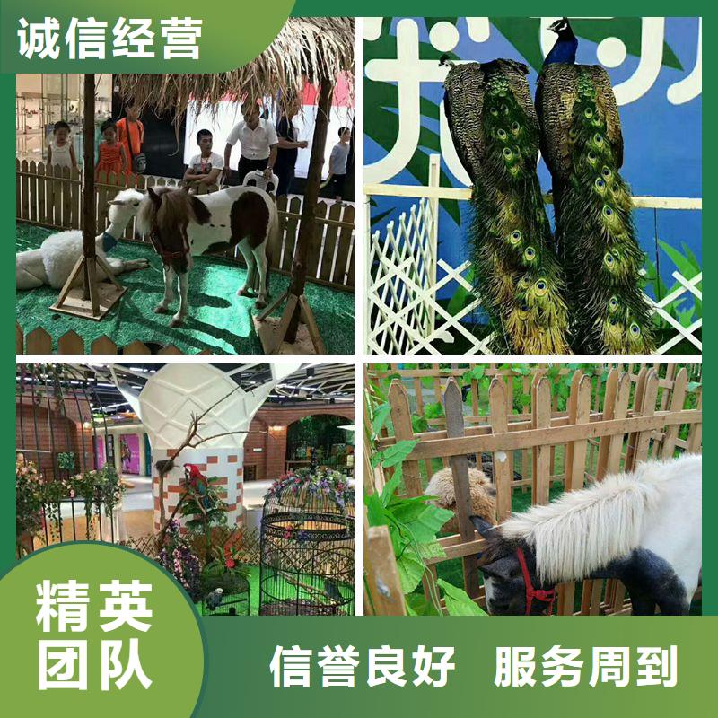 1大型廠家