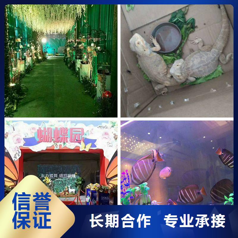 1-1大型廠家