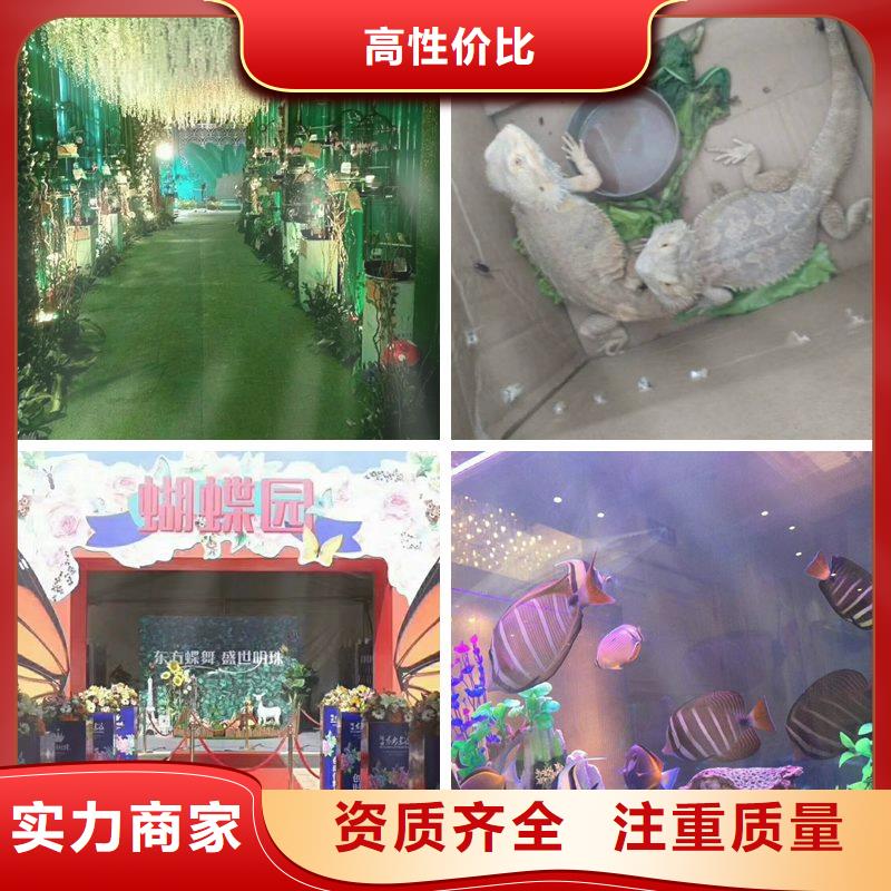 常年供應1-價格優惠