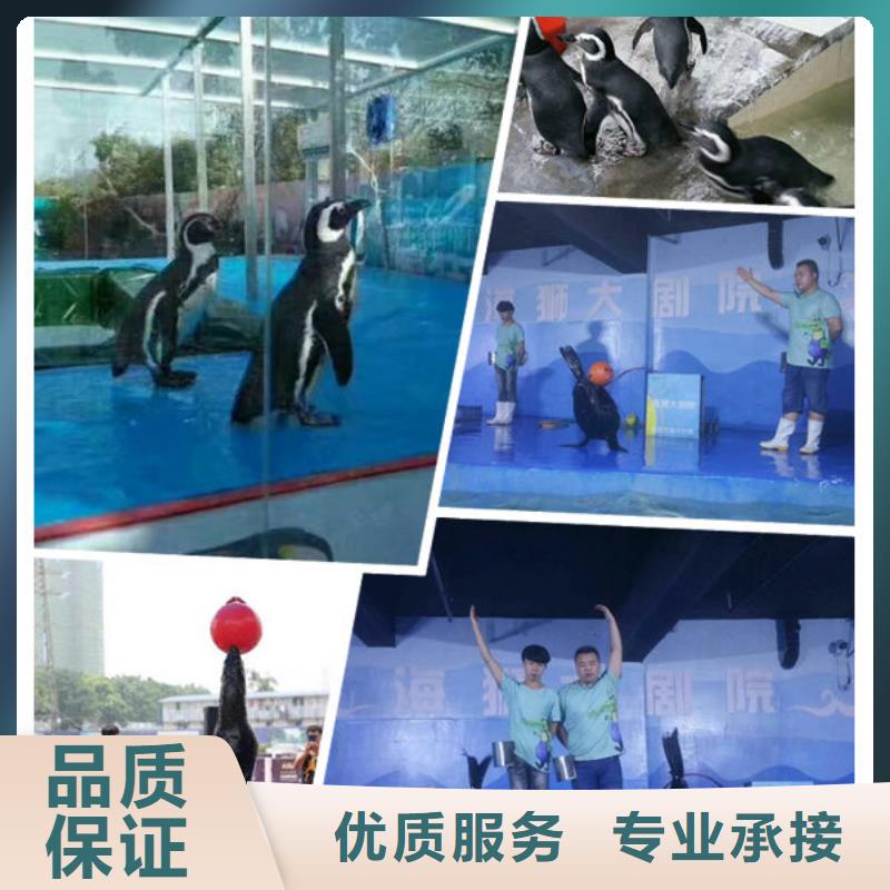 1-來電洽談
