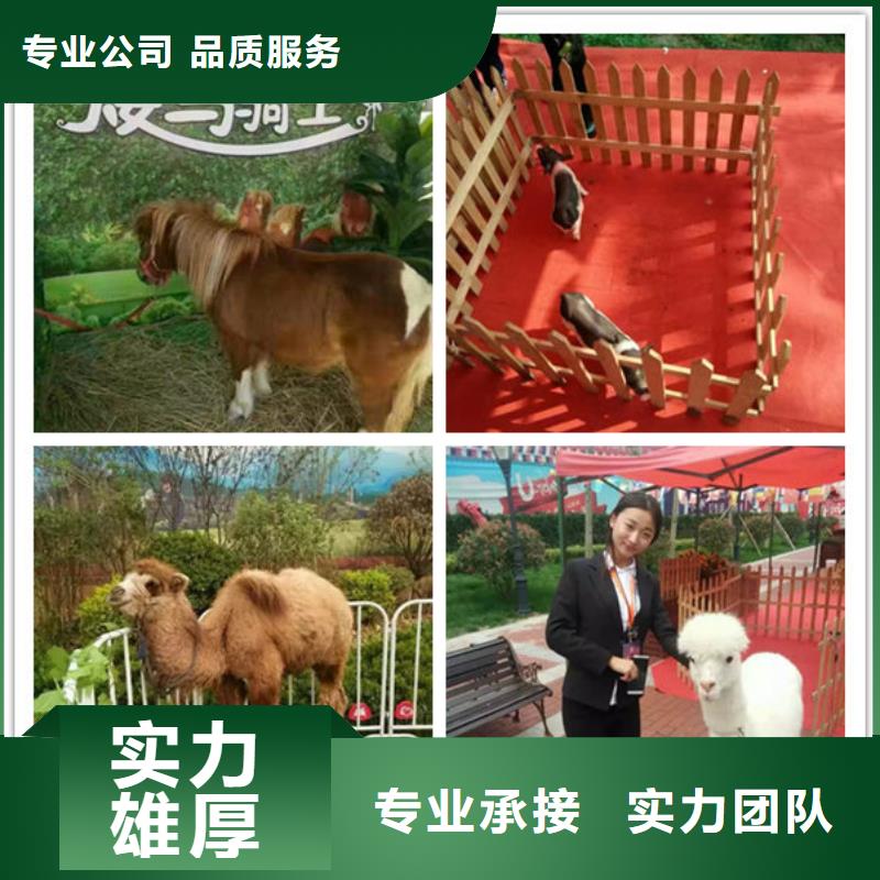 買1認準旺遠動物租賃公司