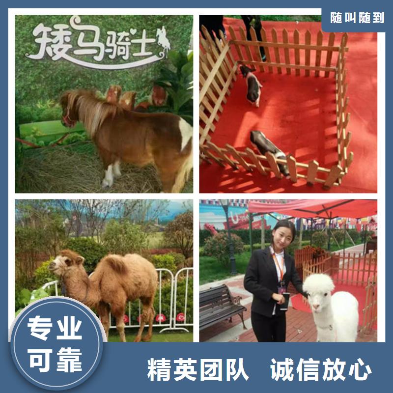 1選購經驗