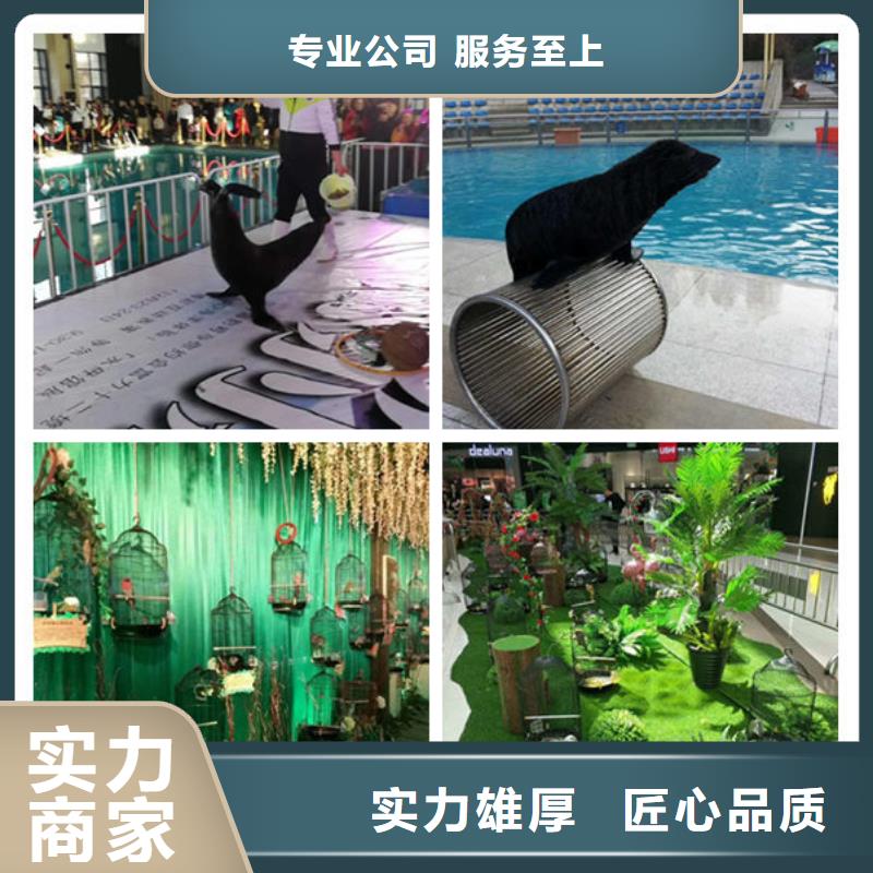 常年供應1-價格優惠