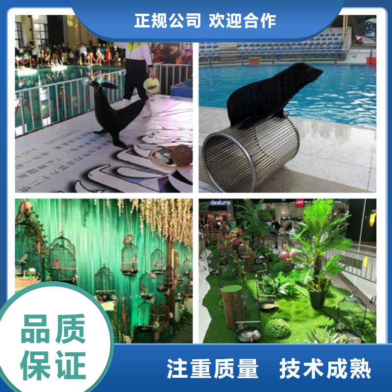 【圖】1