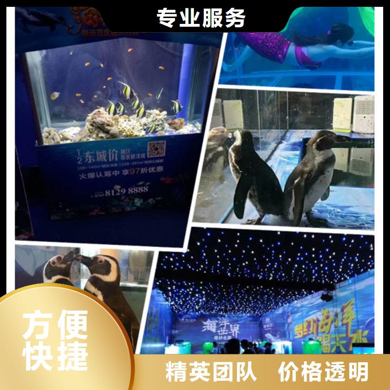 靠譜的1供貨商
