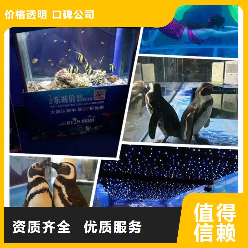 常年供應1-價格優惠