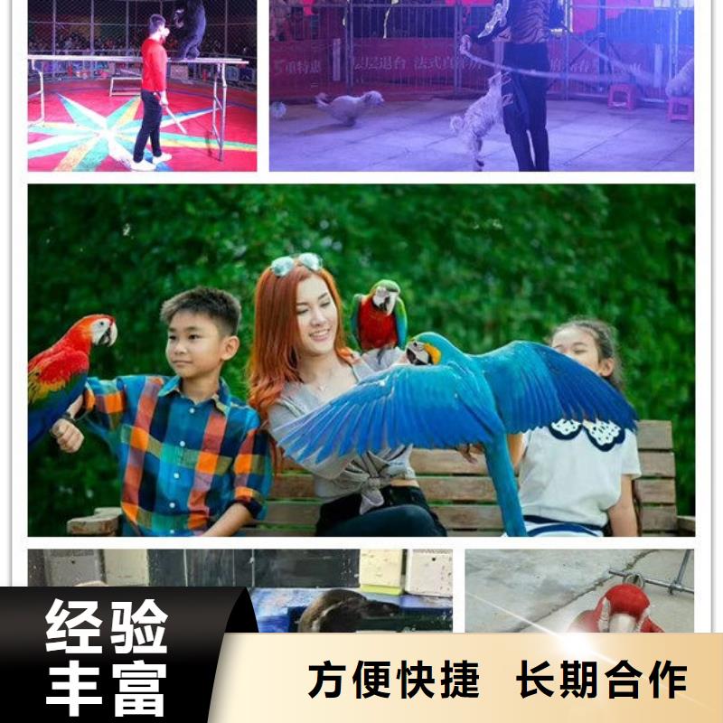 ##1廠家
