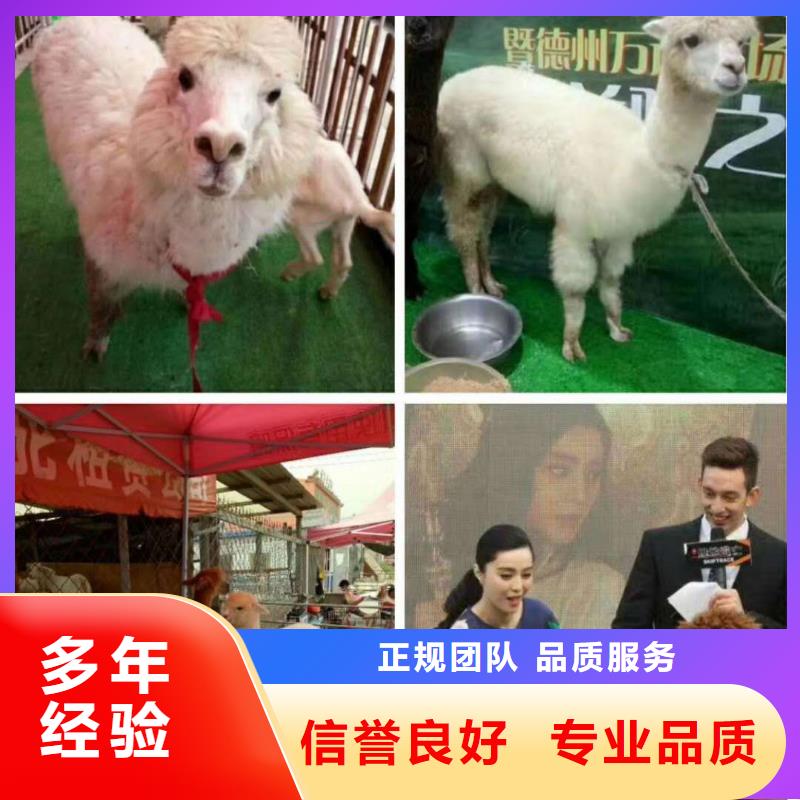 1市場行情