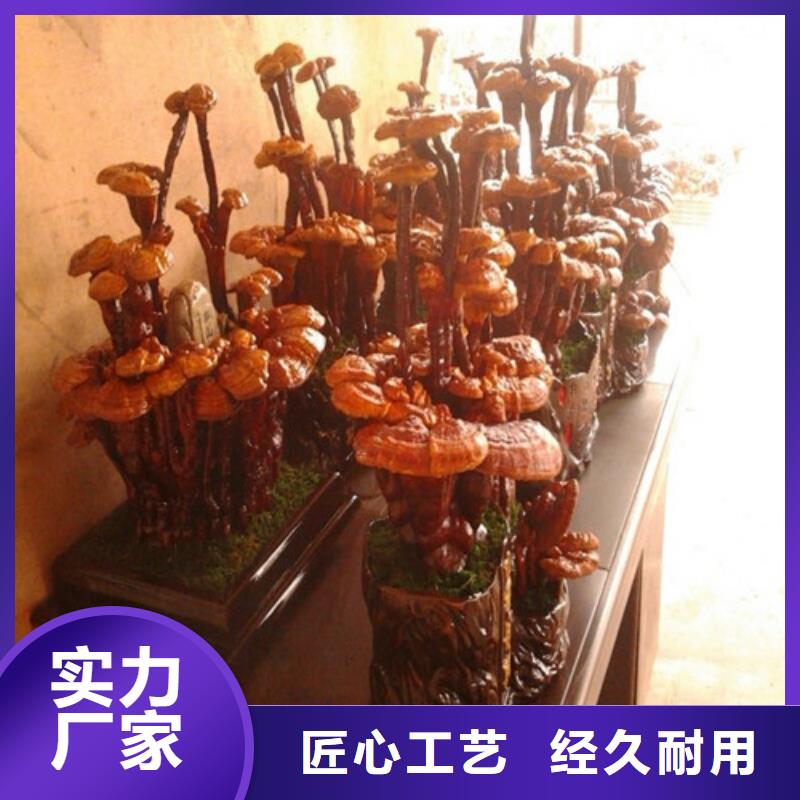 广西桂林荔浦灵芝菌种