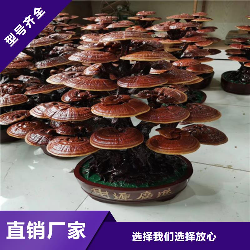 重庆城口灵芝孢子粉价格