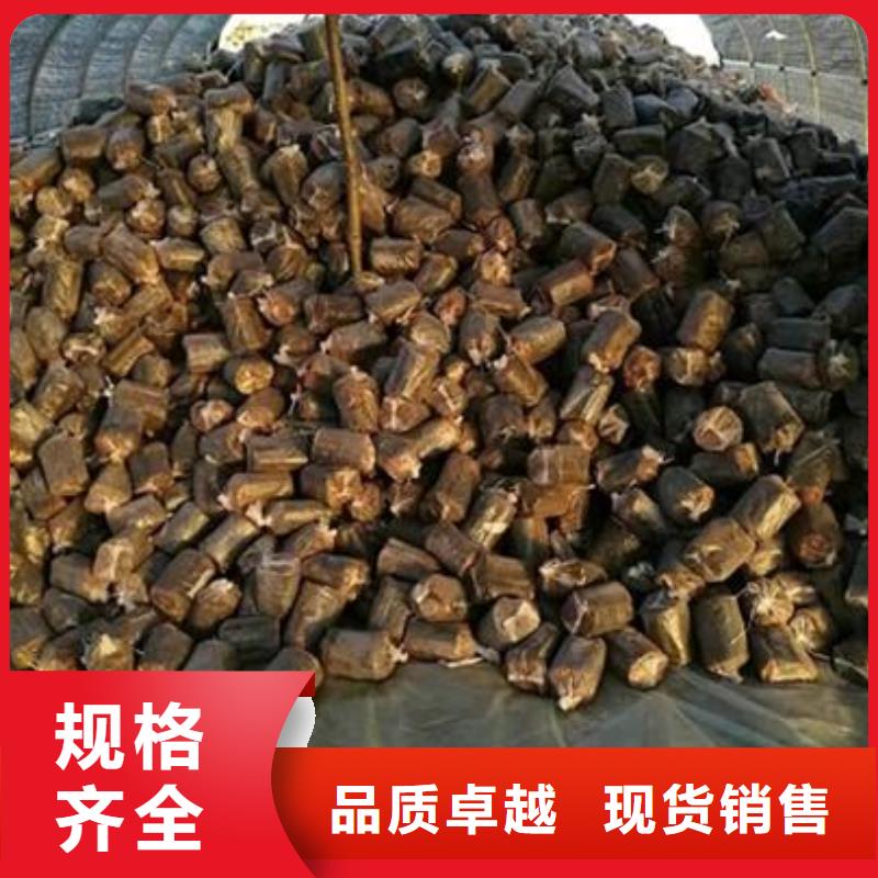 广东广州番禹灵芝孢子粉价格