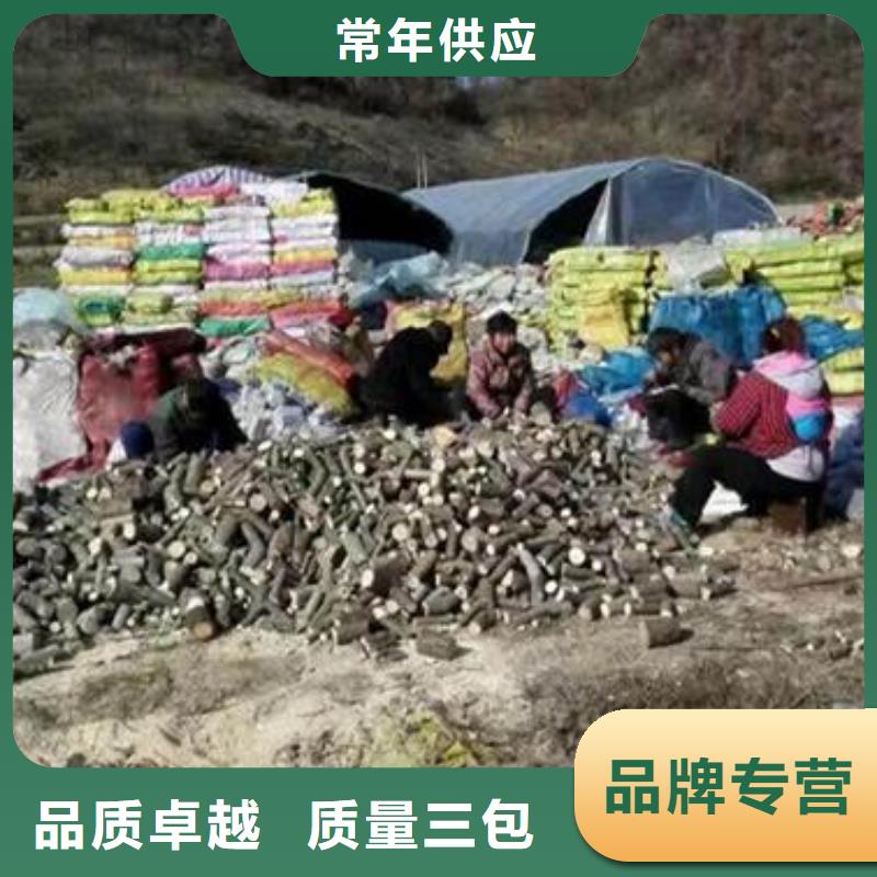 [惠州]国标检测放心购买云海破壁灵芝孢子粉食用方法