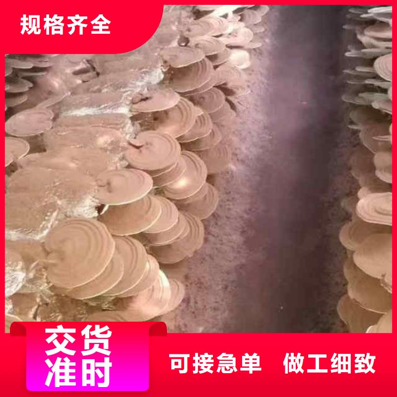 孢子油好喝看得見