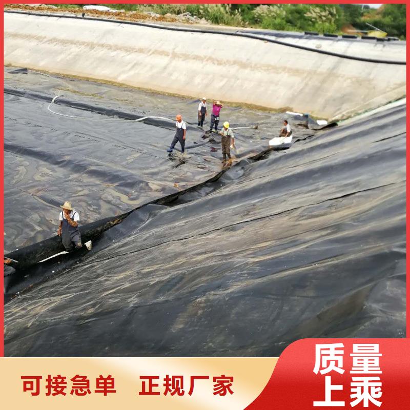 福建涵江钢塑复合土工格栅价格经销商