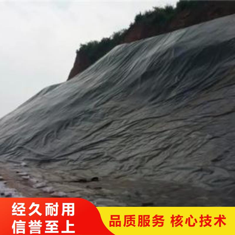 凤阳长丝普通复合排水网施工方案厂家
