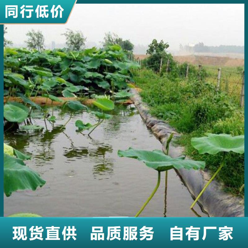 价格实惠的防水材料生产厂家