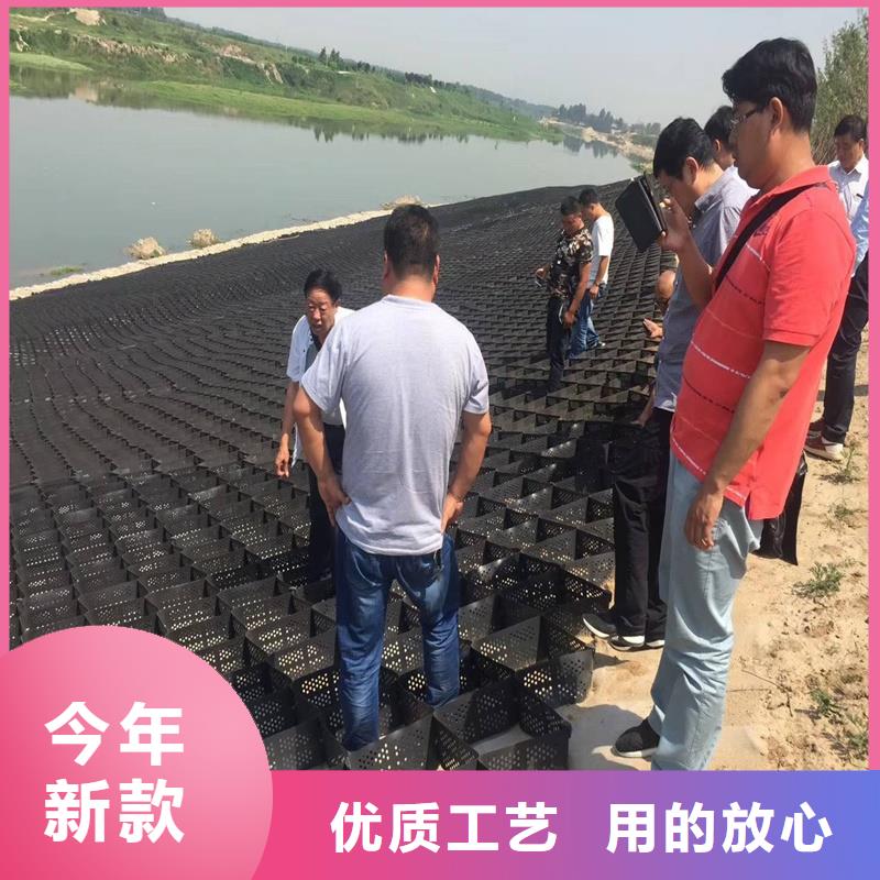 《上海》诚信钢塑土工格栅哪里有生产高速公路用土工格栅