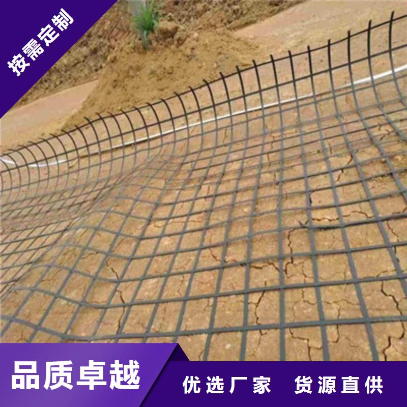 徐州采购无忧路德GSZ钢塑复合土工格栅高速公路用土工格栅