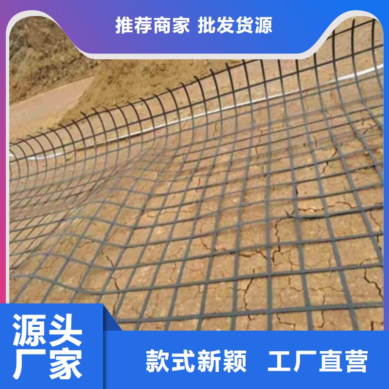 【台湾】订购路德钢塑复合双向土工格栅厂价批发