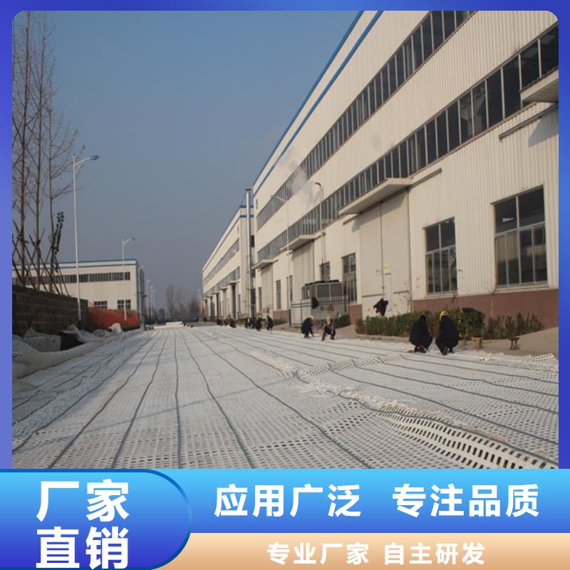 上海采购钢塑土工格栅多少钱高速公路用土工格栅