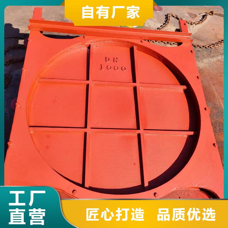 鑲銅鑄鐵閘門靠譜廠家