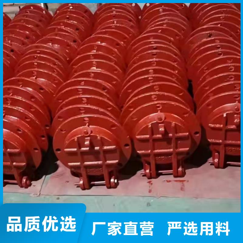 手提鑄鐵閘門價格優惠