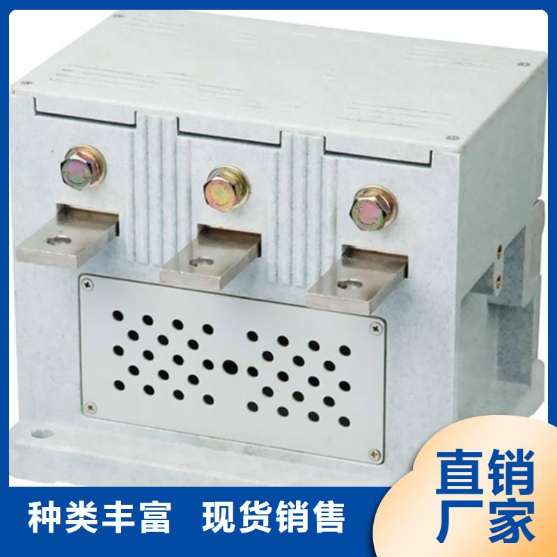 台州购买(飞度)XPDM-c20/2-420v型浪涌保护器