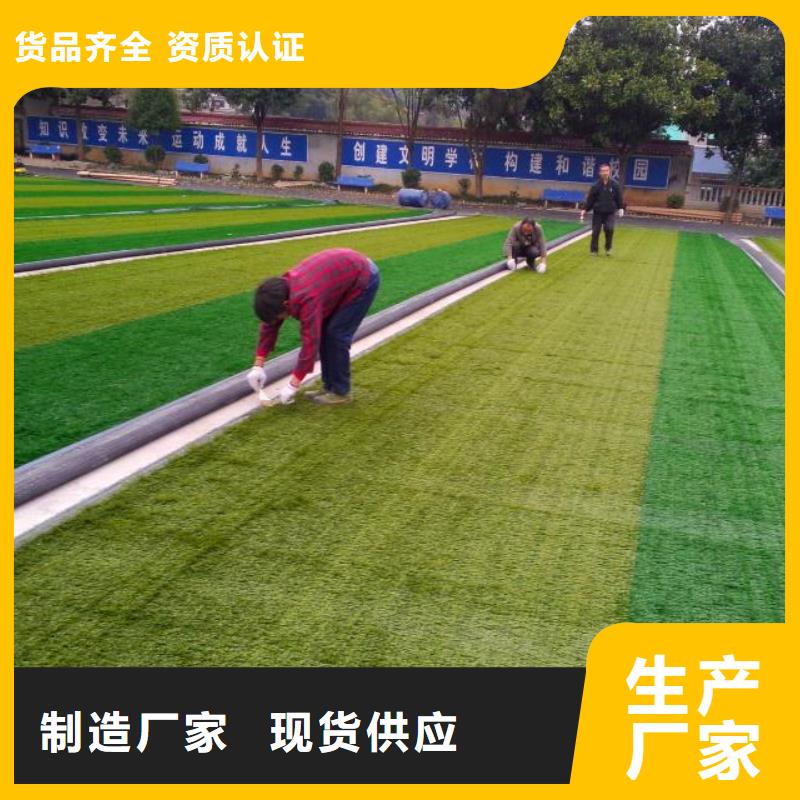 塑膠跑道-塑膠跑道優質當地制造商