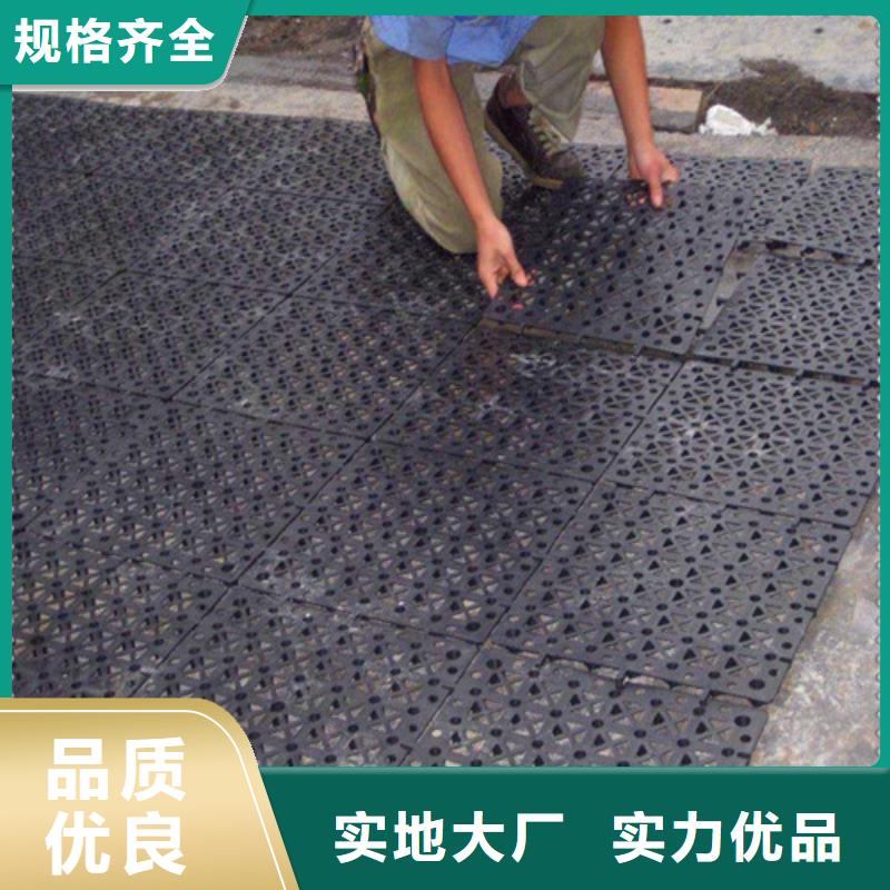 專業銷售土工格室-口碑好