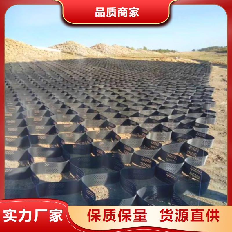 【土工格室】廠家