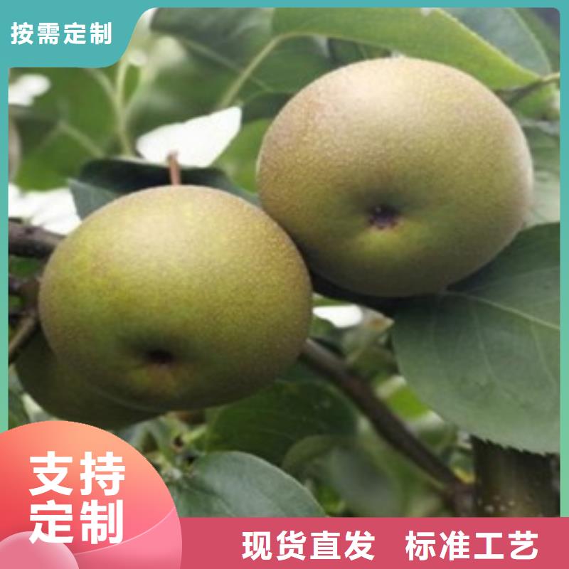 糖梨樹苗畝產(chǎn)多少