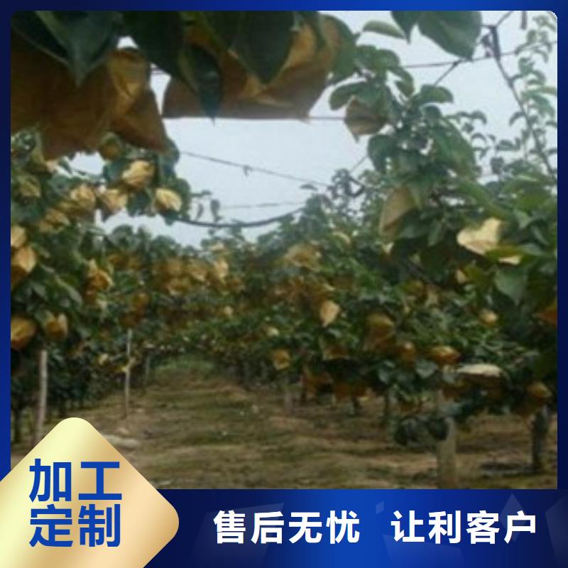 鴨梨苗種植方法