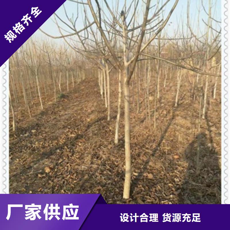 桃樹(shù)苗生產(chǎn)公司