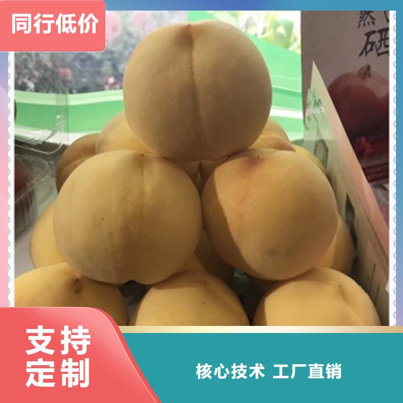 桃樹苗訂購熱線